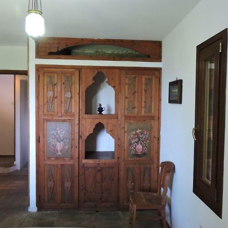 Chestnuts Villa Tsagkarada Dış mekan fotoğraf