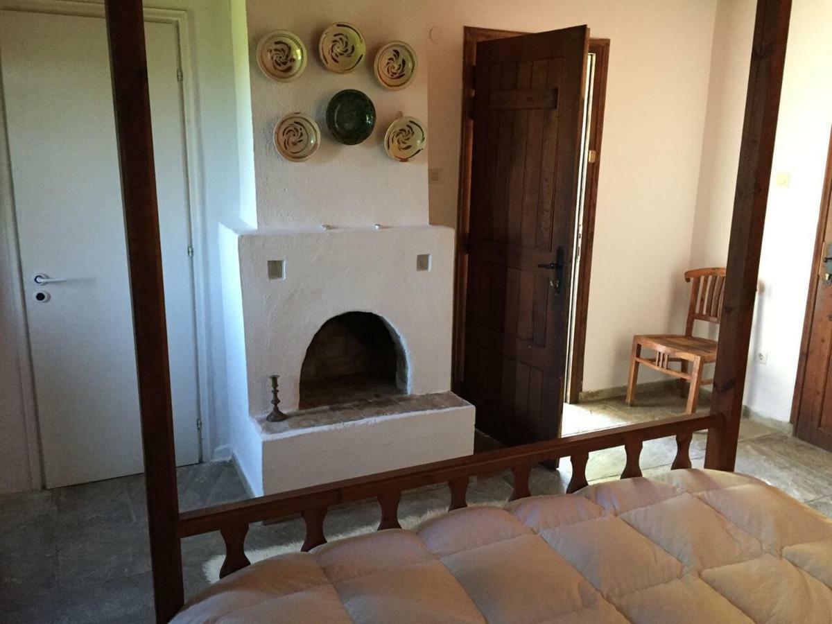 Chestnuts Villa Tsagkarada Dış mekan fotoğraf