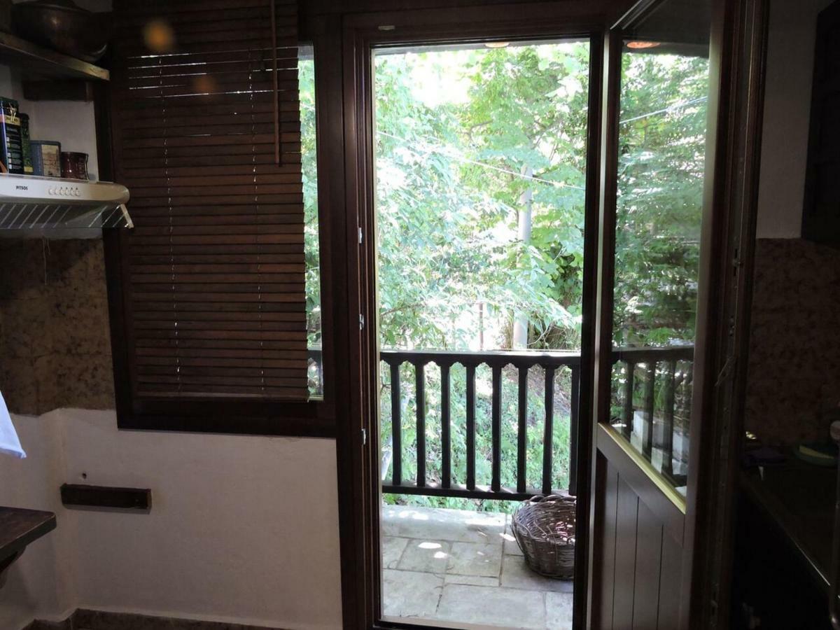 Chestnuts Villa Tsagkarada Dış mekan fotoğraf