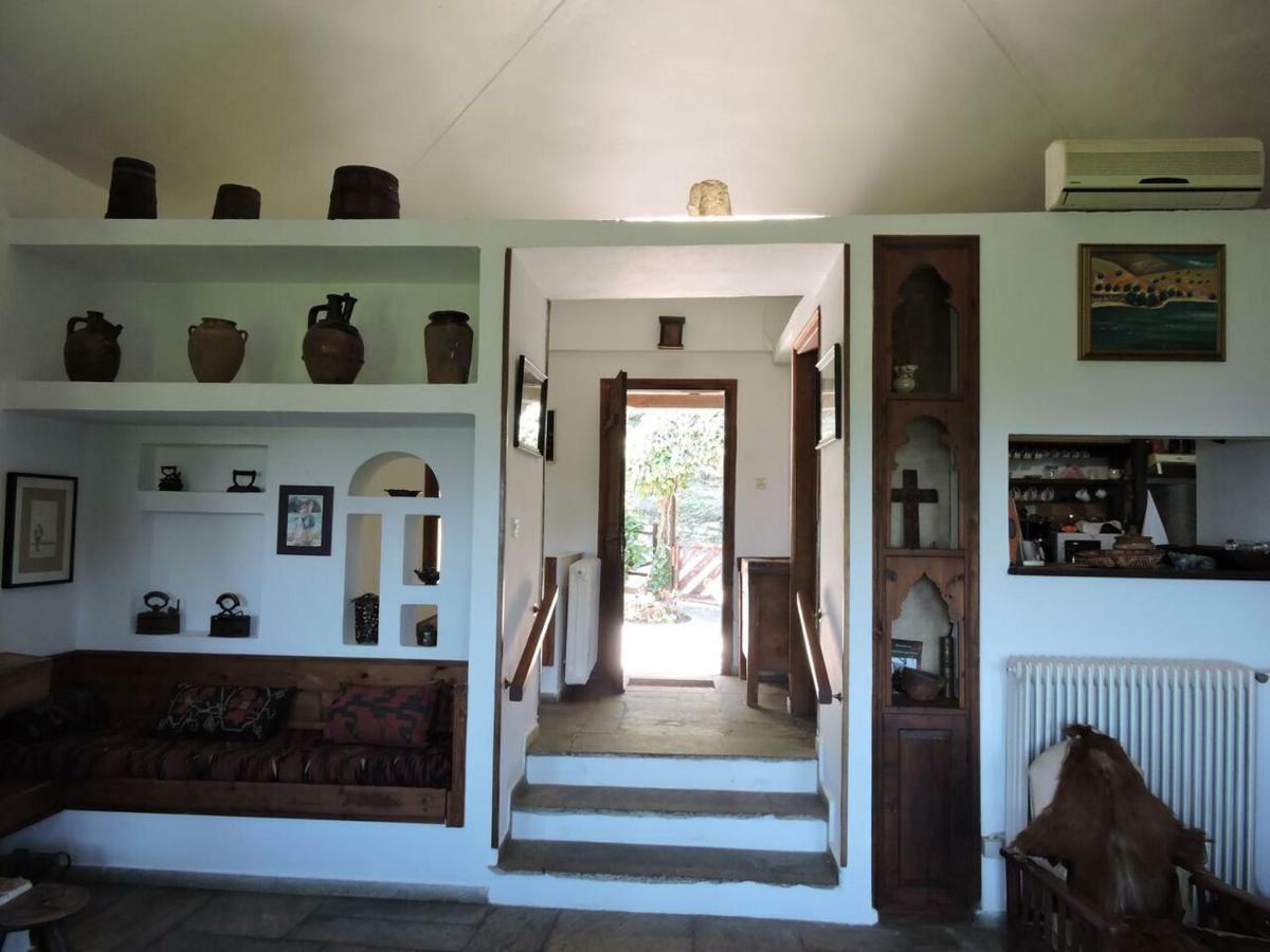 Chestnuts Villa Tsagkarada Dış mekan fotoğraf