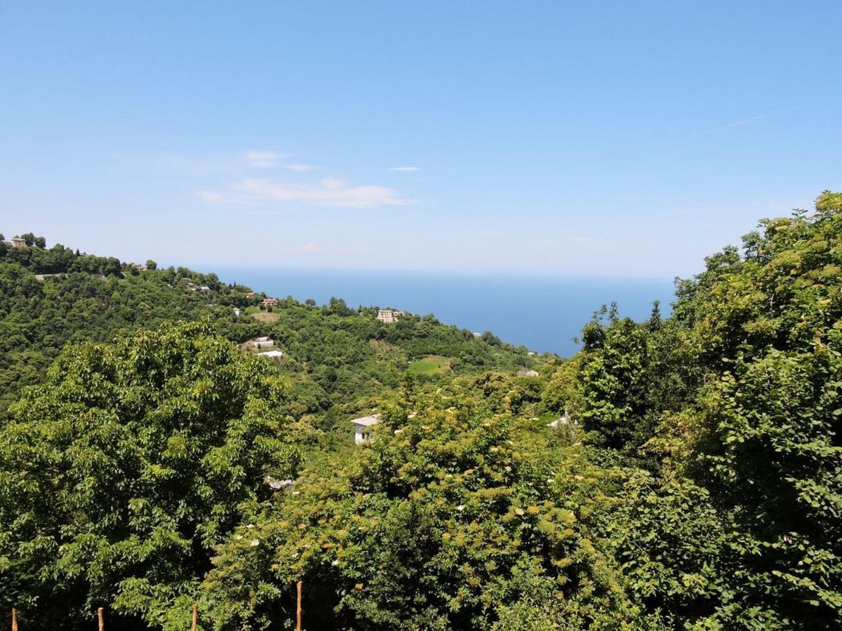 Chestnuts Villa Tsagkarada Dış mekan fotoğraf