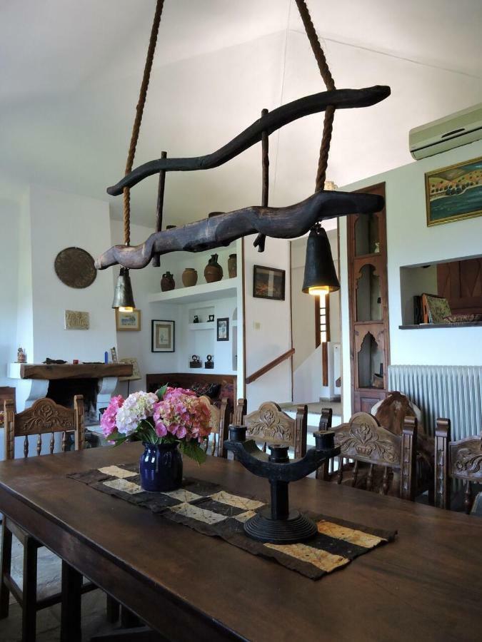 Chestnuts Villa Tsagkarada Dış mekan fotoğraf