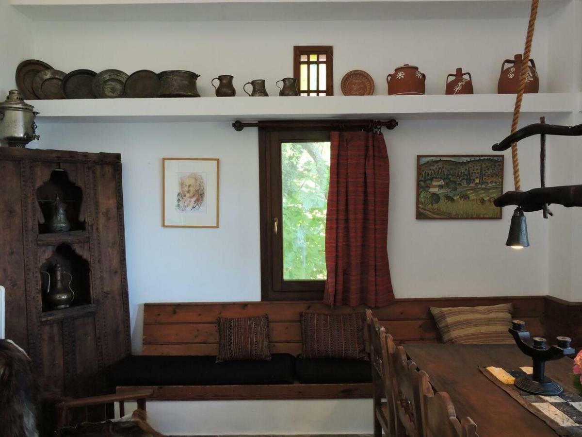 Chestnuts Villa Tsagkarada Dış mekan fotoğraf