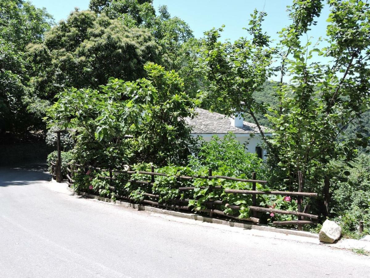 Chestnuts Villa Tsagkarada Dış mekan fotoğraf