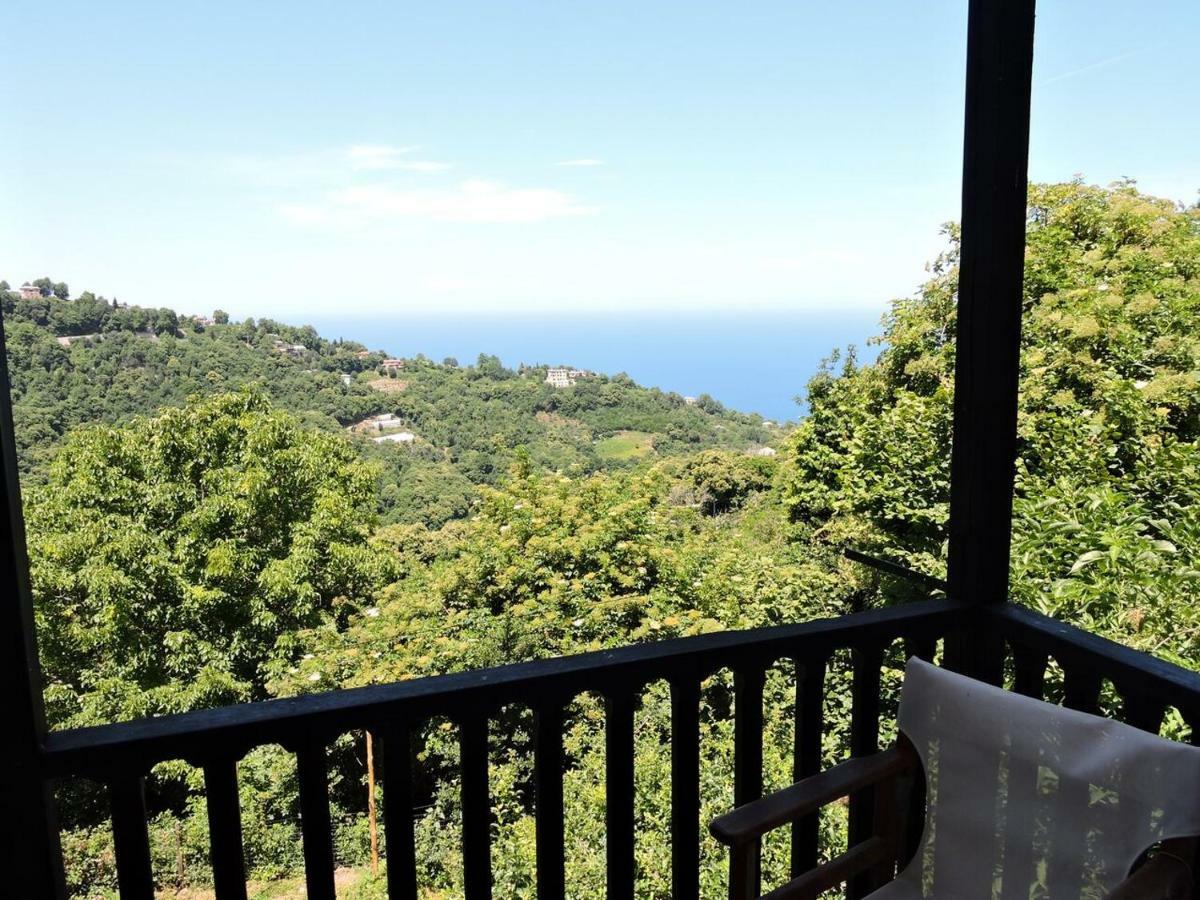 Chestnuts Villa Tsagkarada Dış mekan fotoğraf