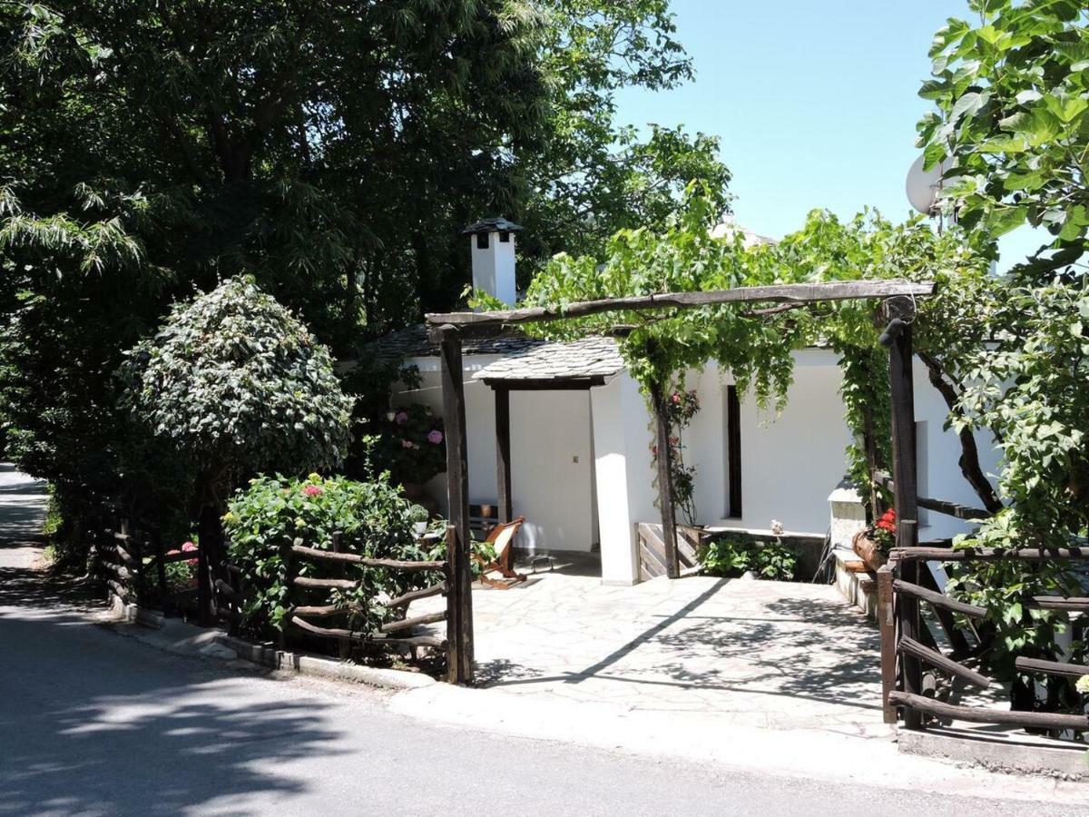 Chestnuts Villa Tsagkarada Dış mekan fotoğraf