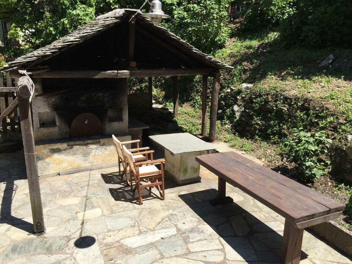 Chestnuts Villa Tsagkarada Dış mekan fotoğraf