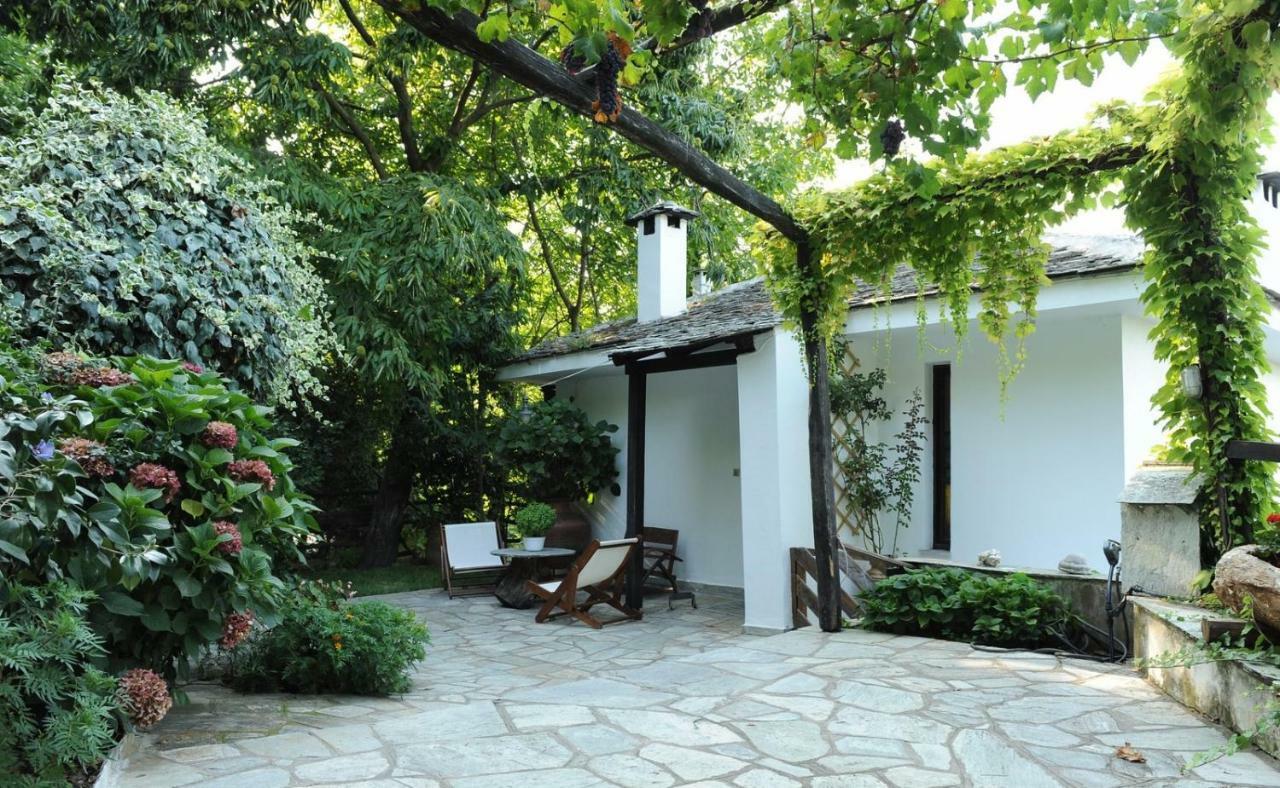 Chestnuts Villa Tsagkarada Dış mekan fotoğraf