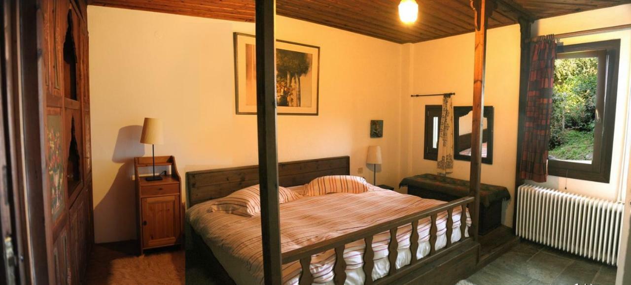 Chestnuts Villa Tsagkarada Dış mekan fotoğraf